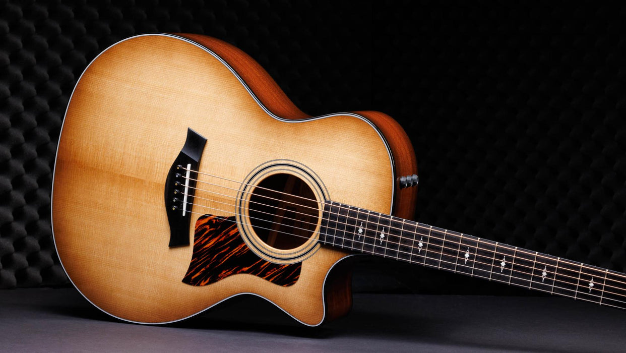 50th Anniversary 314ce LTD - Taylor 314ce 50th Annivesary Limited Edition Acoustic-electric Guitar