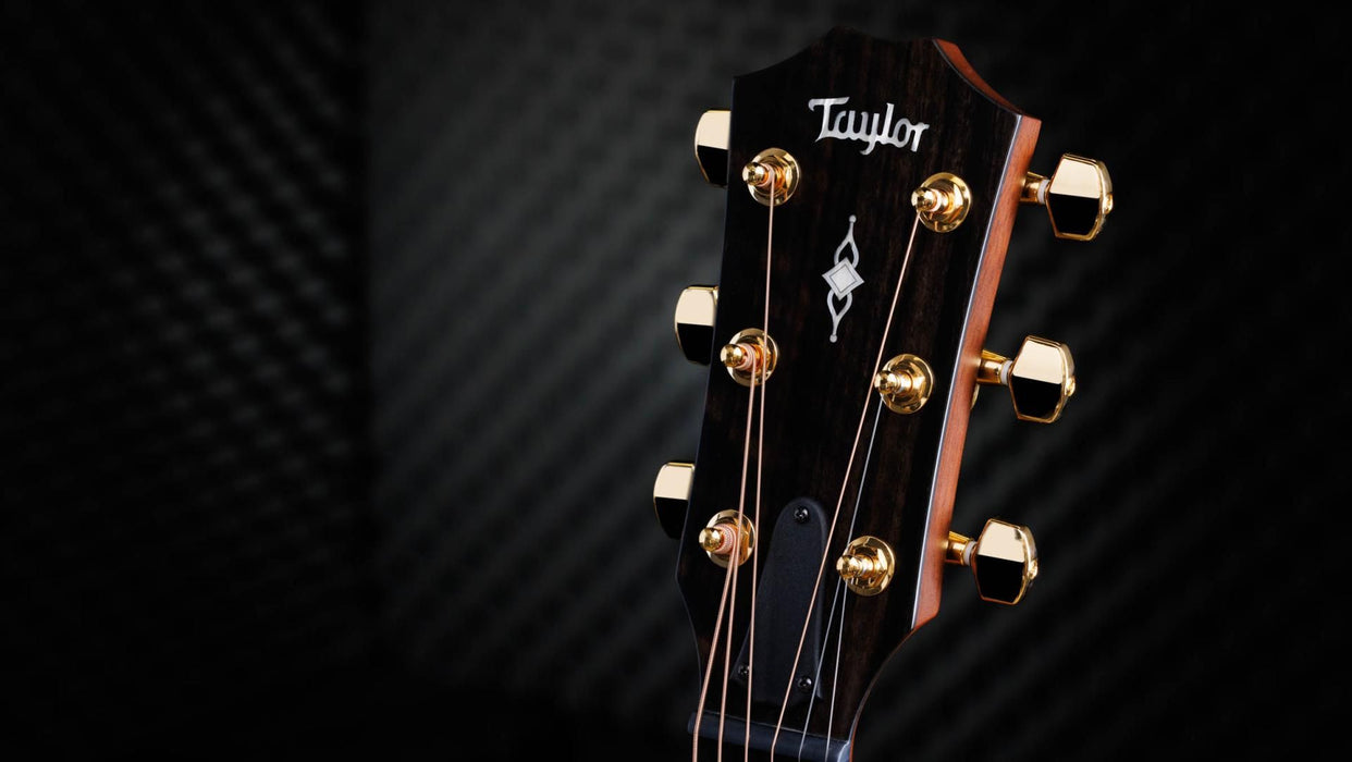 50th Anniversary 314ce LTD - Taylor 314ce 50th Annivesary Limited Edition Acoustic-electric Guitar